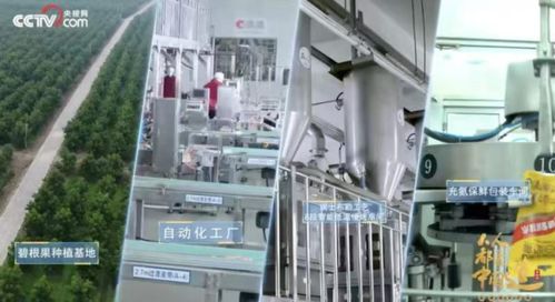 洽洽食品榮膺“十四五”雙項(xiàng)殊榮，樹立堅(jiān)果行業(yè)管理新標(biāo)桿